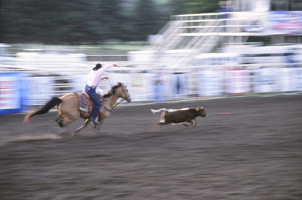 At the rodeo
